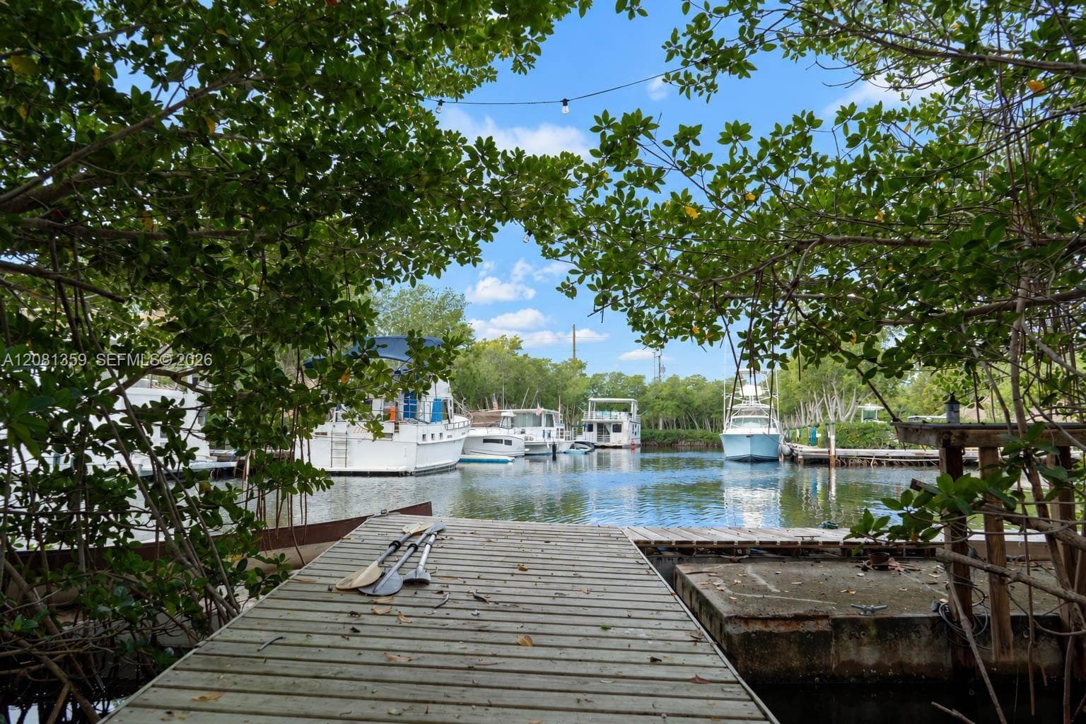 Private timber dock extending into a canal with concrete bulkhead and mature canopy trees